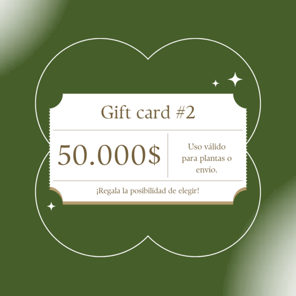 Gift Card N2