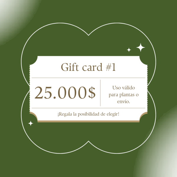 Gift Card N1
