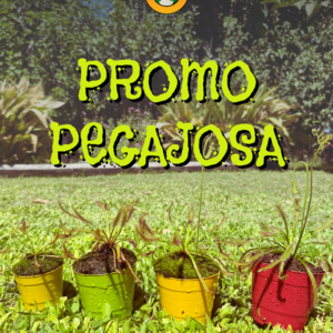 Promo Pegajosa