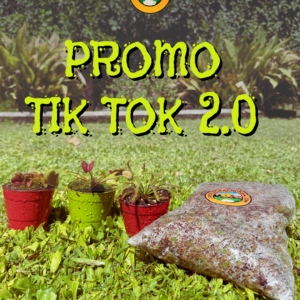 Promo Tik Tok 2.0