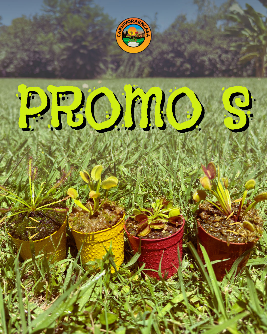 Promo S