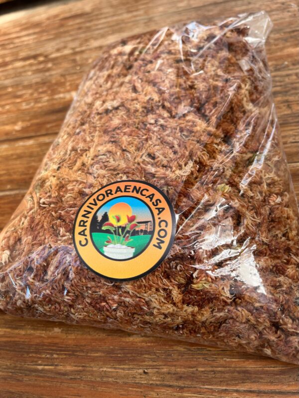 Turba Sphagnum Premium Mediana - Image 2