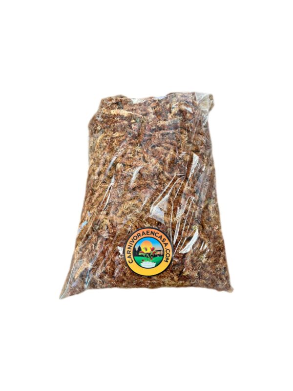 Turba Sphagnum Premium Mediana
