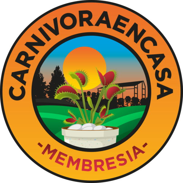 Membresia Mensual