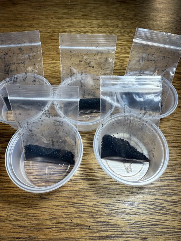 Fertilizante para Plantas Carnivoras - Image 5