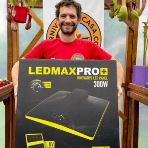 Led MaxPro Superbloom