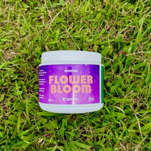 Flower Bloom Bioproyect 350g
