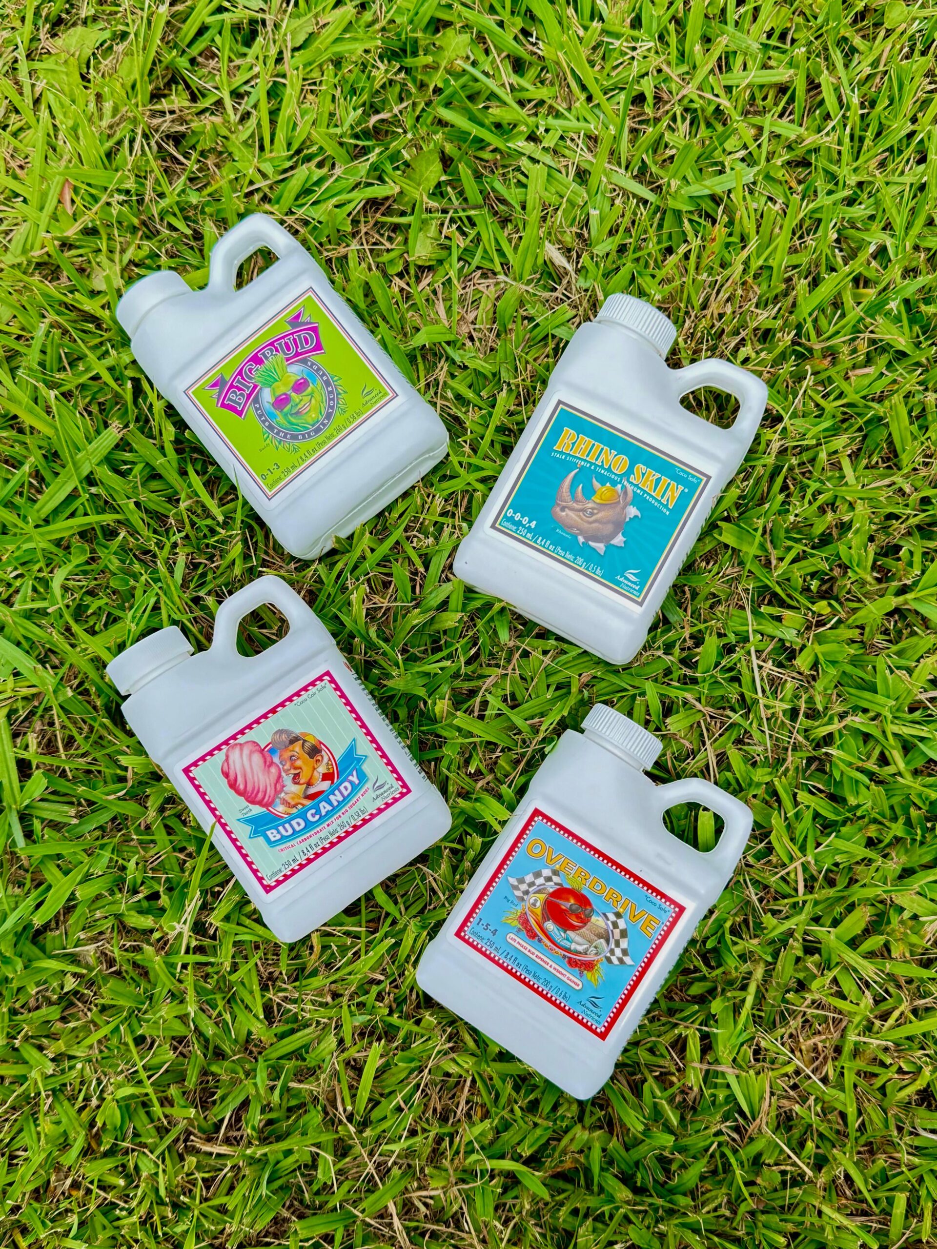 Big Bud Advanced Nutrients 250ml - Image 4