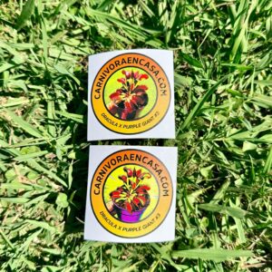 Stickers Laca Sectorizada Carnivoraencasa