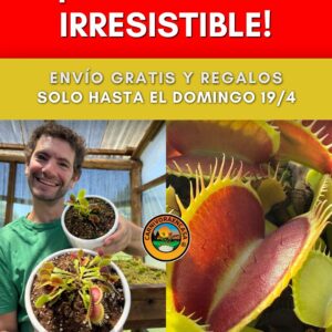 Pack inicio carnivoro Completo