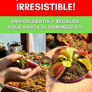 ⚠️NUEVA OFERTA DE ESTA SEMANA⚠️
