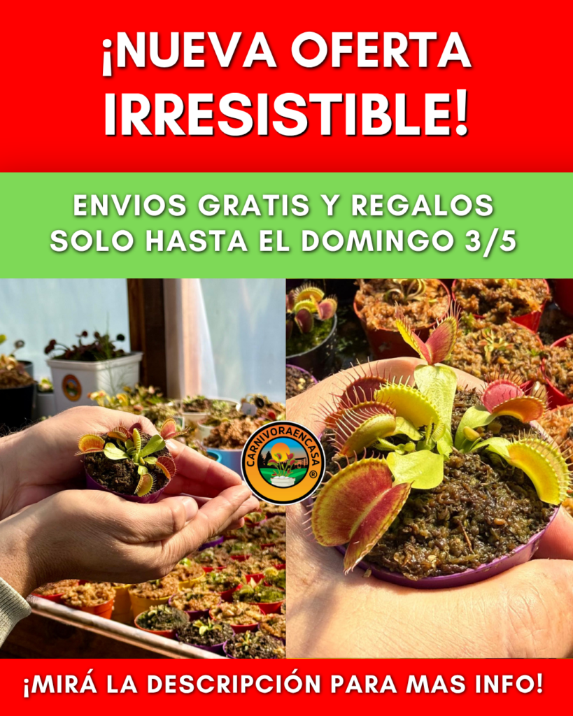 ⚠️NUEVA OFERTA DE ESTA SEMANA⚠️